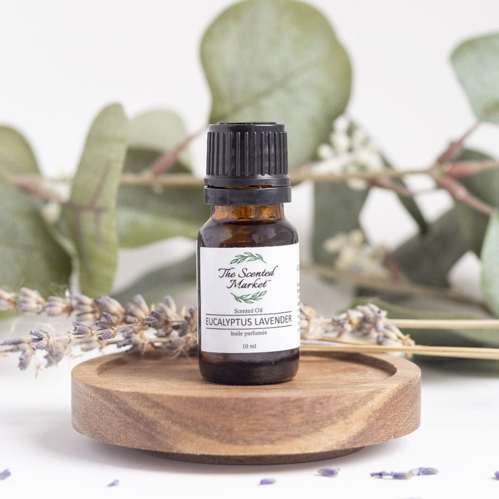 EUCALYPTUS LAVENDER Oil Fragrance – Long-Lasting, Scented Oils for Home and Personal Use