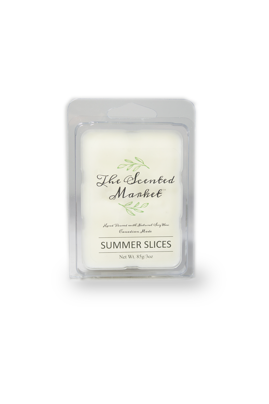 WATERMELON Soy Wax Melt