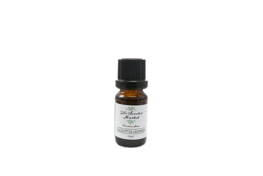 EUCALYPTUS LAVENDER Oil Fragrance – Long-Lasting, Scented Oils for Home and Personal Use
