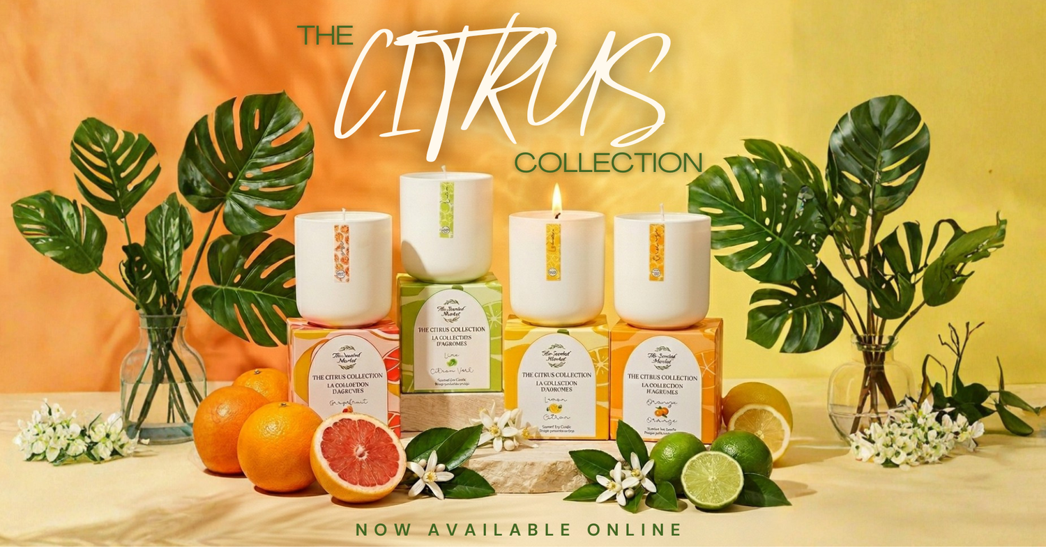 Citrus Candle Collection