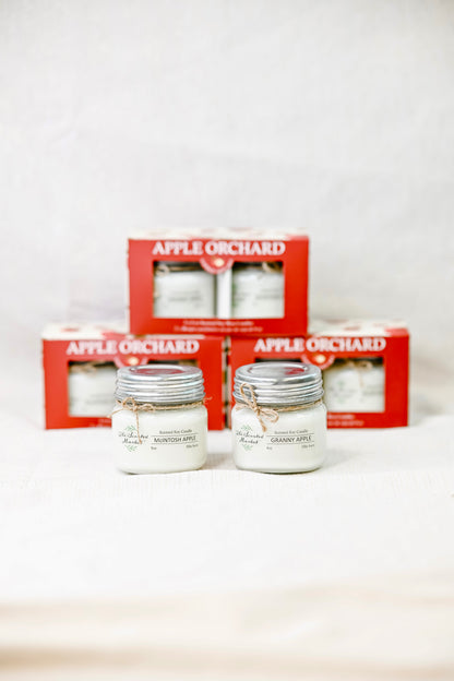 Exclusive Apple Orchard Candle 2 Pack – Granny Apple & McIntosh Apple – Fall Soy Candles