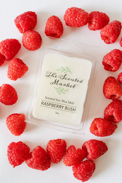 RASPBERRY BUSH Soy Wax Melt