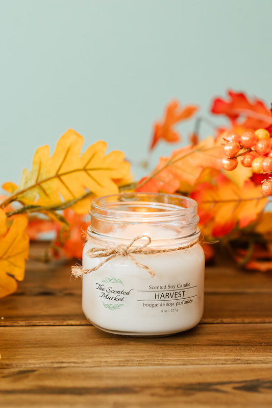 HARVEST Soy Wax Candle 8 oz