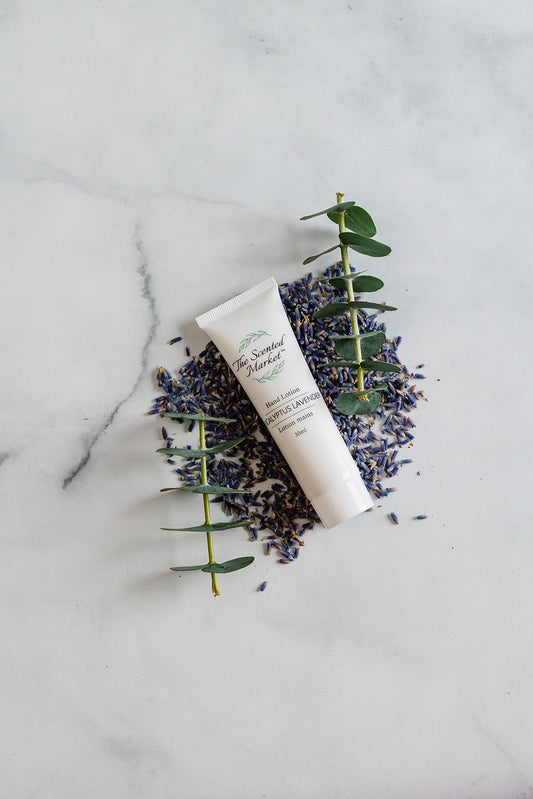 Eucalyptus Lavender Travel Size Hand Lotion: Lightweight Hydration - The Scented Market  Lotion & Moisturizer   