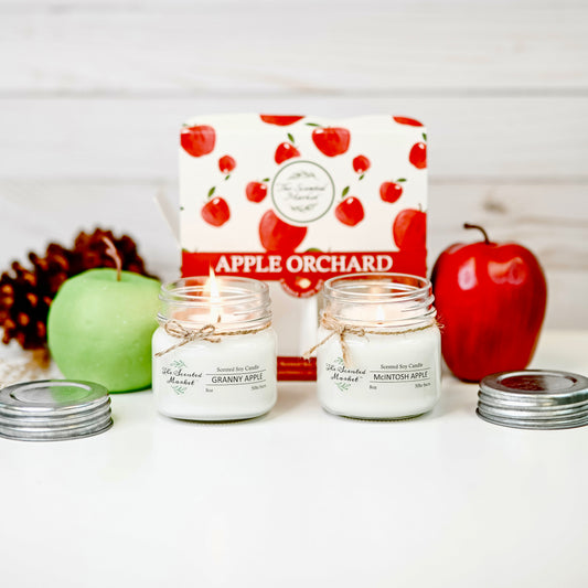 Exclusive Apple Orchard Candle 2 Pack – Granny Apple & McIntosh Apple – Fall Soy Candles