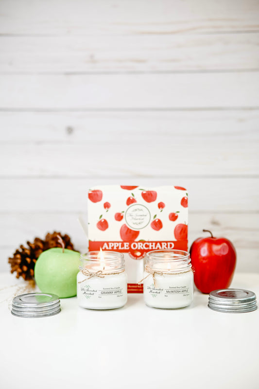 Exclusive Apple Orchard Candle 2 Pack – Granny Apple & McIntosh Apple – Fall Soy Candles