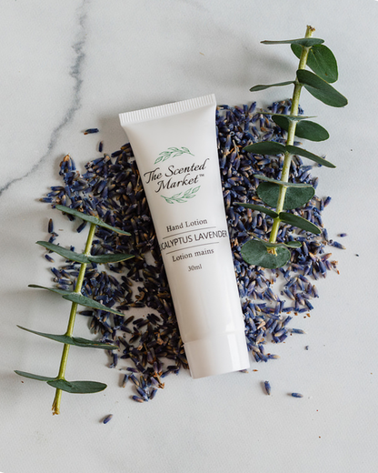 Eucalyptus Lavender Travel Size Hand Lotion: Lightweight Hydration
