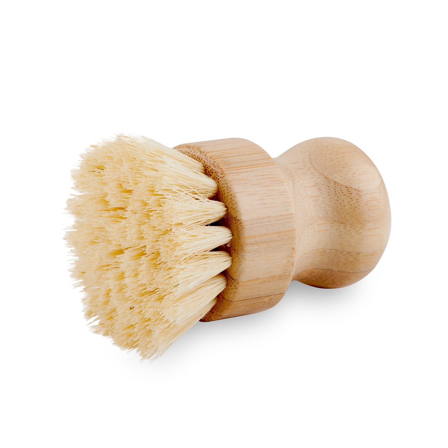 Dish Brush Standing