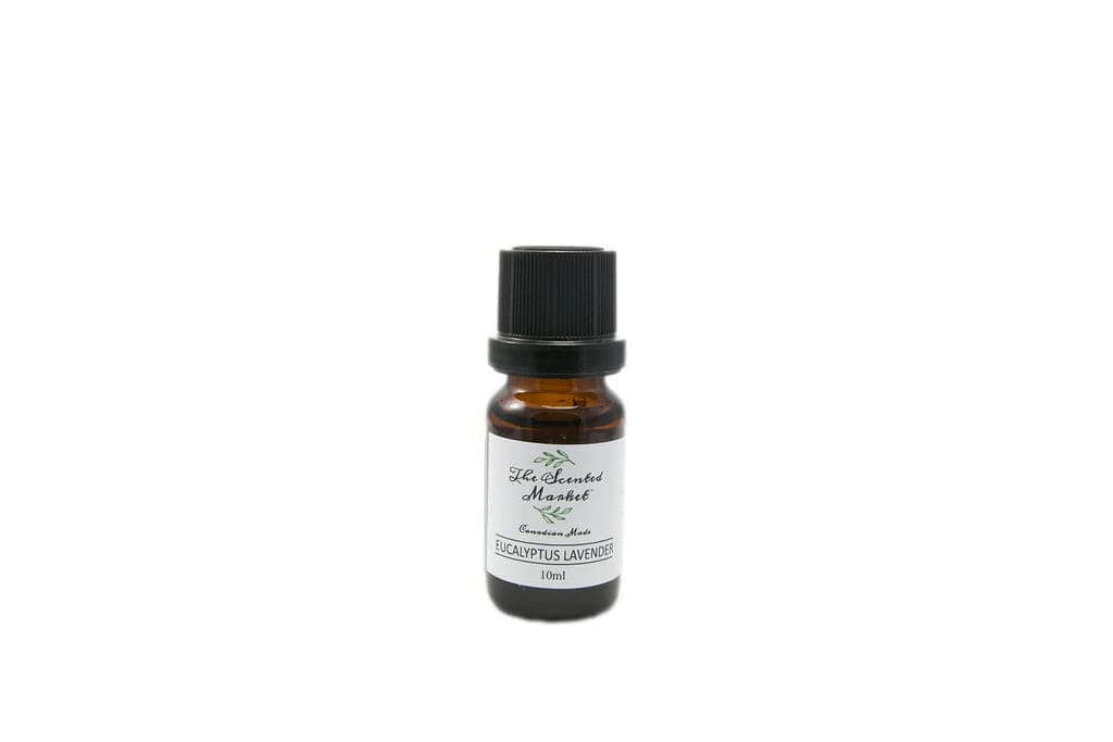 EUCALYPTUS LAVENDER Oil Fragrance